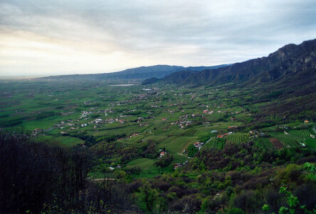 10_tif